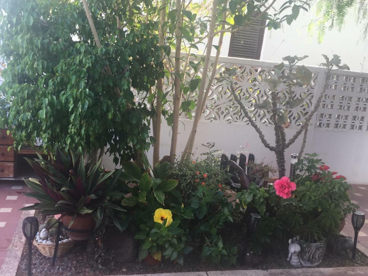 Vakantiehuis Heavens Garden House *